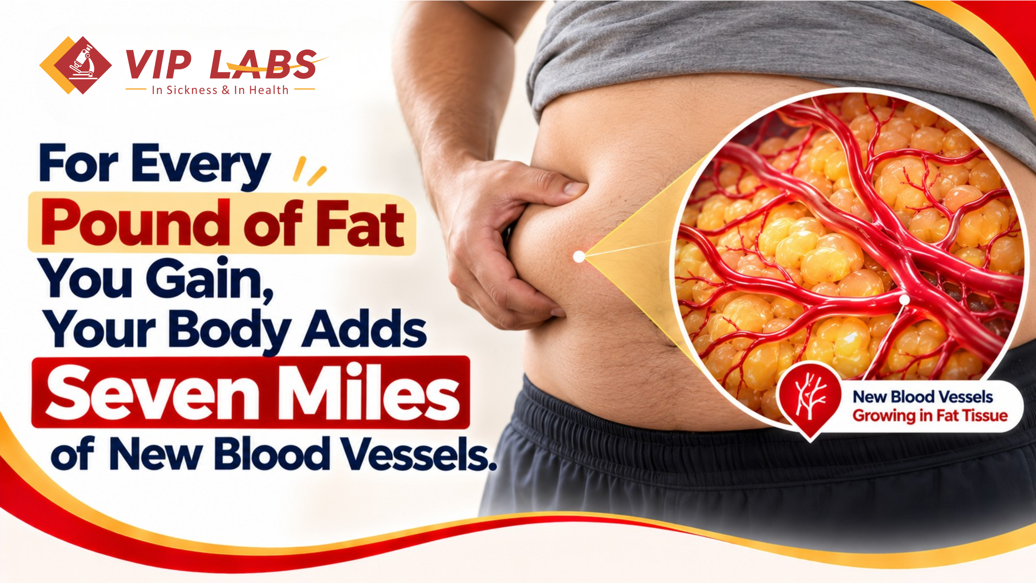 For every pound of fat you gain, your body adds seven miles of new blood vessels.